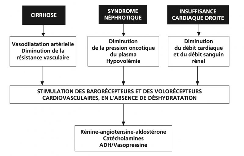 Lexipatho Le Lexique Des Pathologies M Dicales